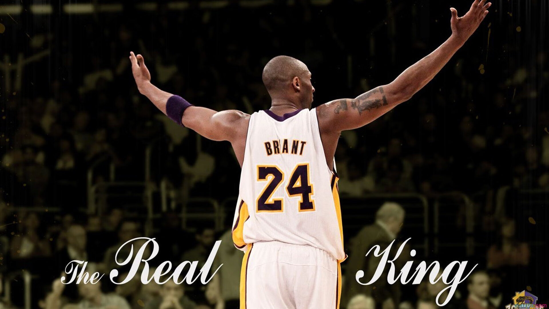 九游网页版官网-“逆境中的坚持”——车手抗压应变的真实故事