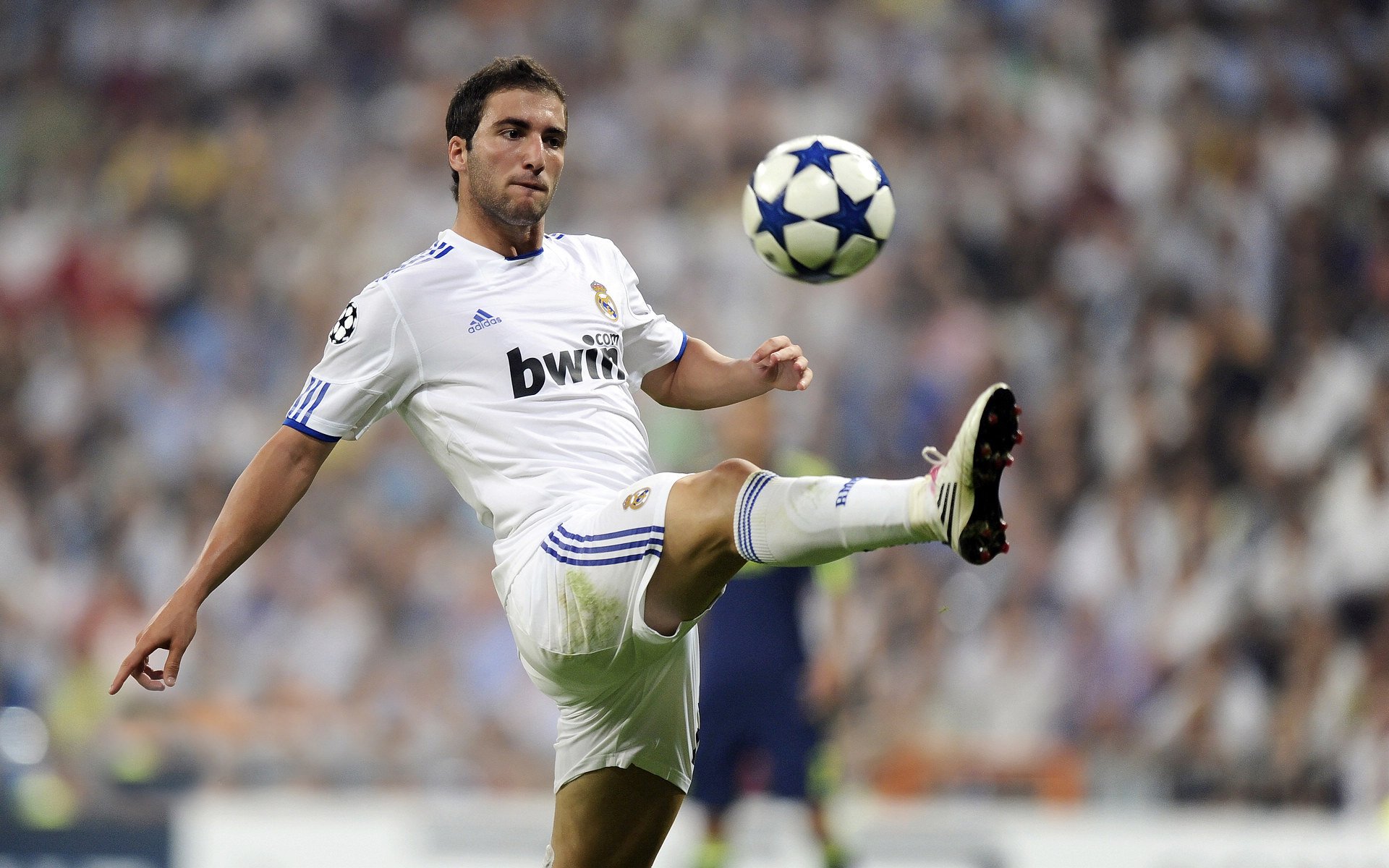 史上最年轻“冠军射手”一夜爆红，历史最年轻总冠军